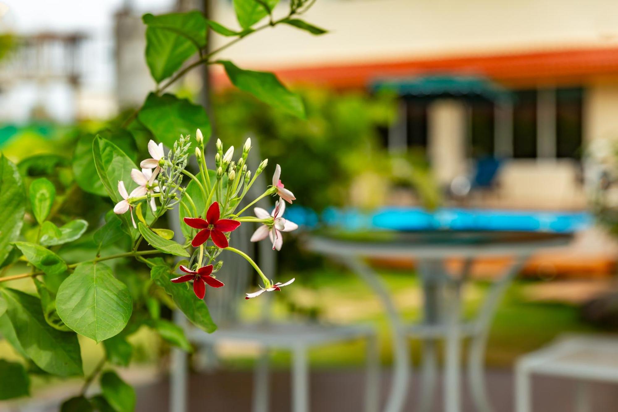 Casa Amora 로나발라 외부 사진